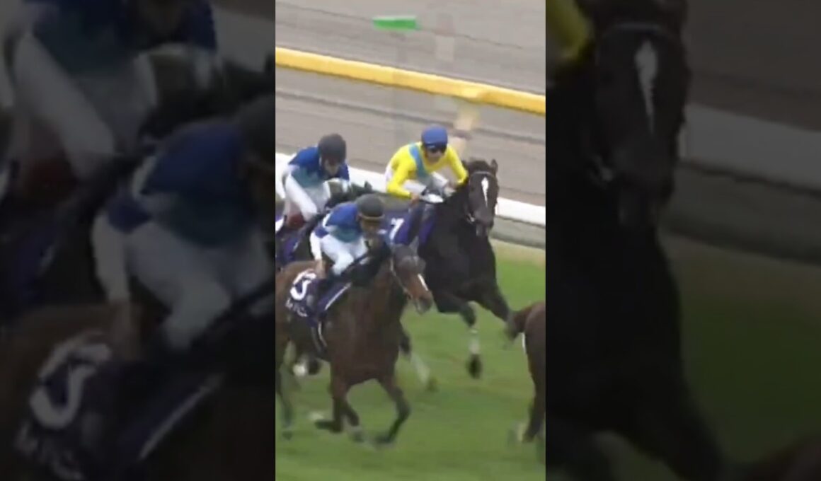 #shorts 2009 天皇賞秋 #カンパニー #横山典弘