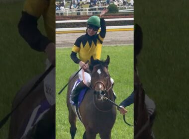 【現地撮影】NHKマイルカップ2025 パンジャタワー 松山弘平騎手 ウイニングラン #nhkマイルカップ2025  #パンジャタワー #松山弘平