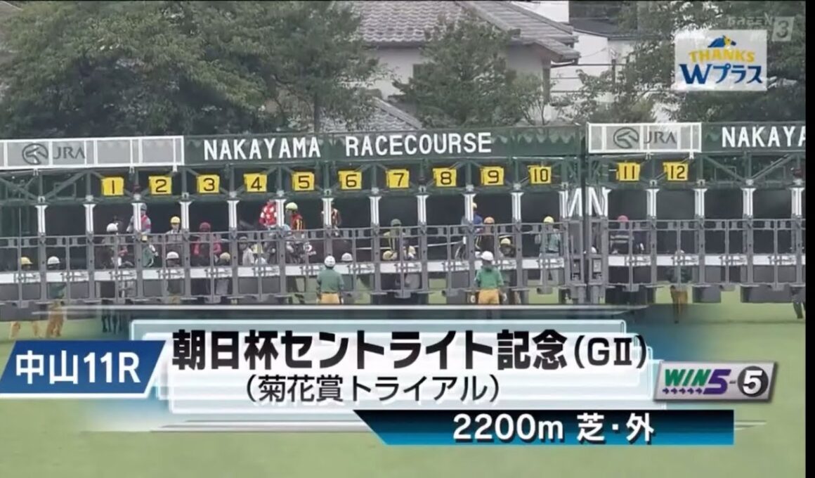 中山11R 第79回朝日杯セントライト記念（GⅡ） 〈菊花賞トライアル〉