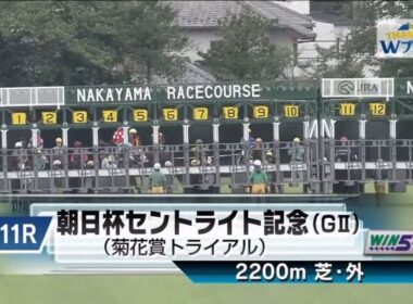 中山11R 第79回朝日杯セントライト記念（GⅡ） 〈菊花賞トライアル〉