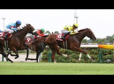 【競馬】GII関西TVローズSやります