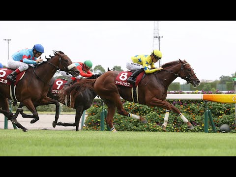 【競馬】GII関西TVローズSやります