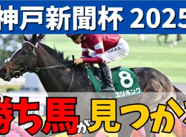 【神戸新聞杯 2025】菊花賞に向け３歳馬集結🏇菊花賞の切符を手にする馬は…？🔥#競馬