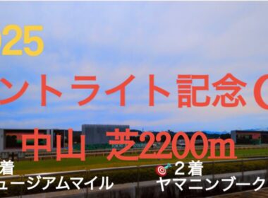 【セントライト記念  2025】🎯１着ミュージアムマイル🎯２着ヤマニンブークリエ  本命不在となる菊花賞を目指す秋のトライアル初戦‼︎皐月賞馬ミュージアムマイル始動戦‼︎名乗りを上げる馬は⁉︎