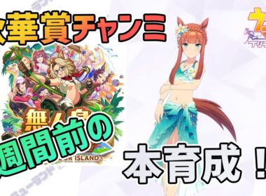 【ウマ娘】秋華賞チャンミ 1週間前の本育成！