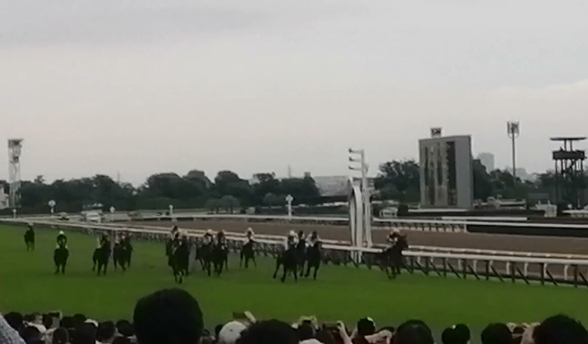 【現地から】第86回優駿牝馬/カムニャック号優勝 ゴール後1コーナー付近より #競馬 #オークス
