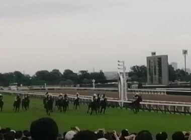 【現地から】第86回優駿牝馬/カムニャック号優勝 ゴール後1コーナー付近より #競馬 #オークス