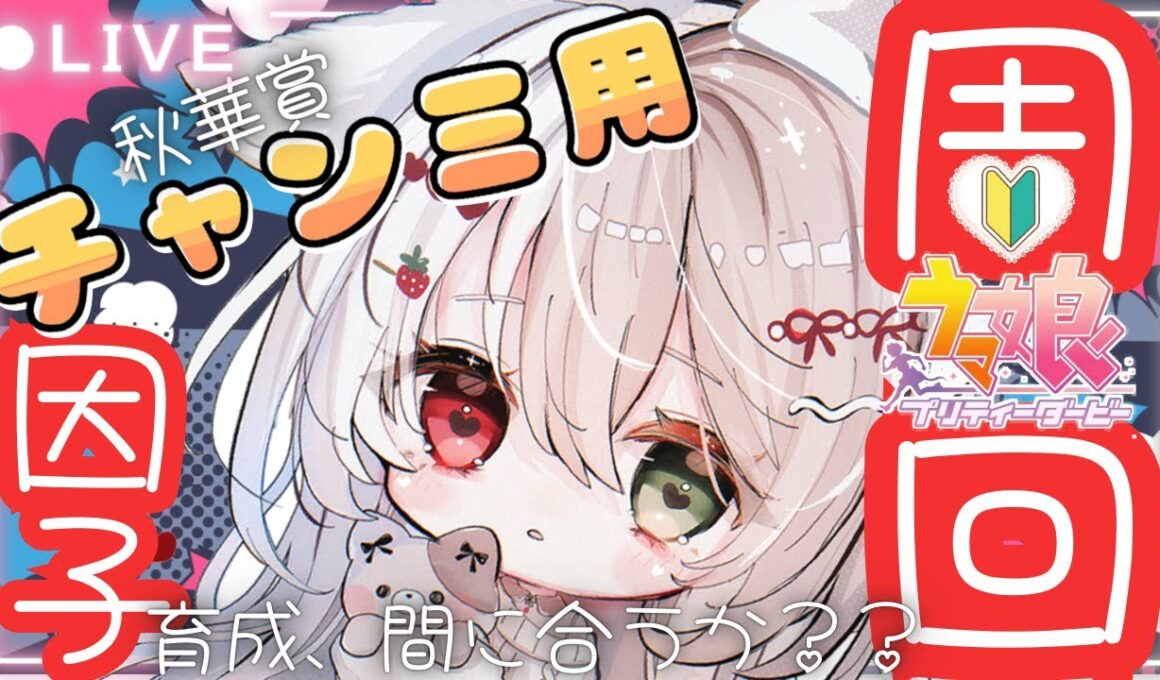 【ウマ娘】秋華賞チャンミまでに間に合うのか!?因子周回や育成頑張るー！新人トレーナー爆誕✨LIVE配信【#ウマ娘プリティダービー】