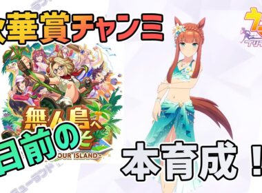 【ウマ娘】秋華賞チャンミ 5日前の本育成！