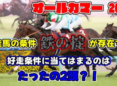 オールカマー 2025 競馬予想【エリ女へのプレップとして見るべき1戦 オールカマーの鉄の掟とも言える好走条件がある】注目馬2頭紹介