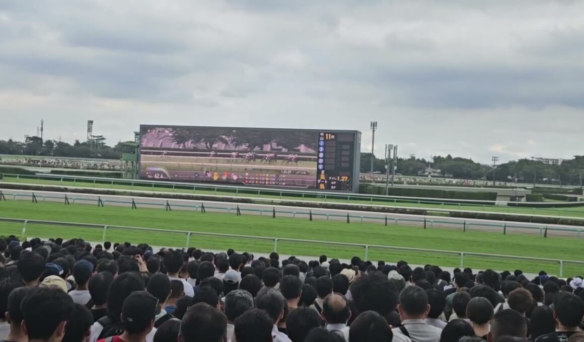 第79回セントライト記念2025