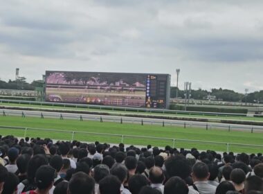 第79回セントライト記念2025