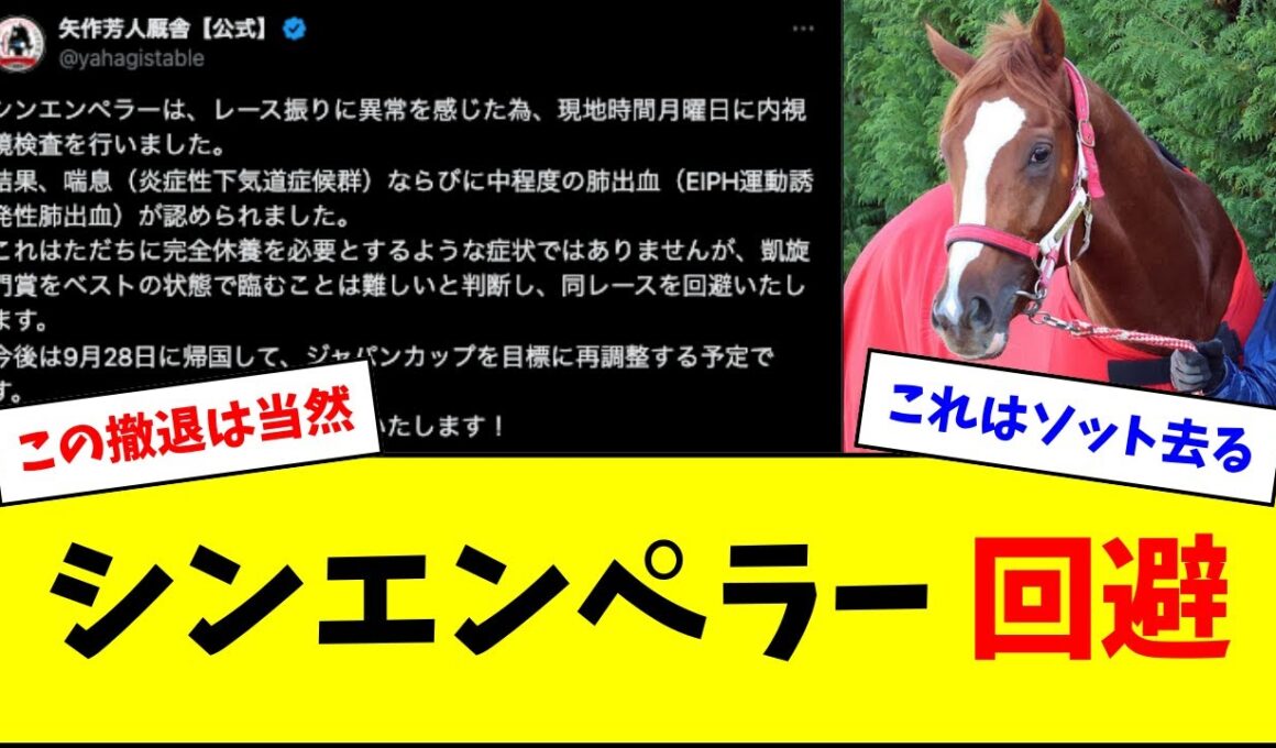 【悲報】シンエンペラー、凱旋門賞は回避しジャパンカップへ