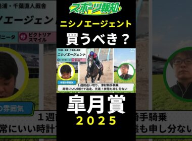 【皐月賞2025】ニシノエージェントは買うべき？クロワデュノールのライバルを徹底検証