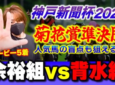 神戸新聞杯2025｜菊花賞への準決勝！過去14番人気を射抜いた盲点とは？