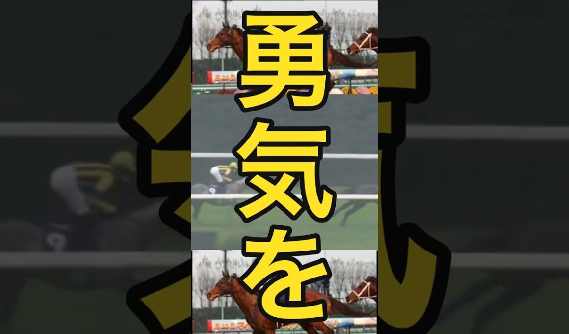 ✨勇気をありがとう✨カンパニー🐎マイルチャンピオンシップ2009年#競馬#カンパニー#マイルチャンピオンシップ#名馬#shots#hose#ダイジェスト版