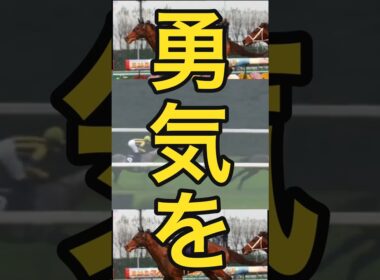 ✨勇気をありがとう✨カンパニー🐎マイルチャンピオンシップ2009年#競馬#カンパニー#マイルチャンピオンシップ#名馬#shots#hose#ダイジェスト版
