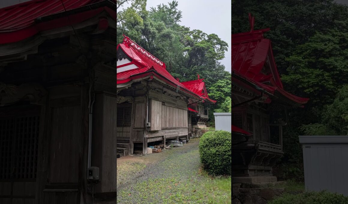 【競馬予想】神頼み予想　優駿牝馬　 #競馬　#競馬予想　#パワースポット　#オークス