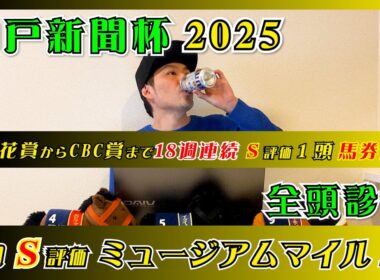 【神戸新聞杯2025】2025年桜花賞からCBC賞まで18週連続S評価馬券内!!【全頭診断】