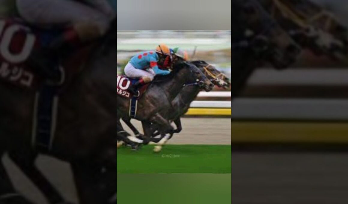 「アルマヴェローチェ、左前浅屈腱炎で秋華賞断念　9か月以上の長期休養へ」