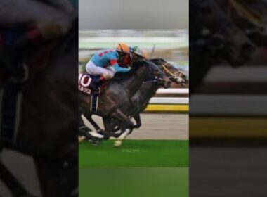 「アルマヴェローチェ、左前浅屈腱炎で秋華賞断念　9か月以上の長期休養へ」