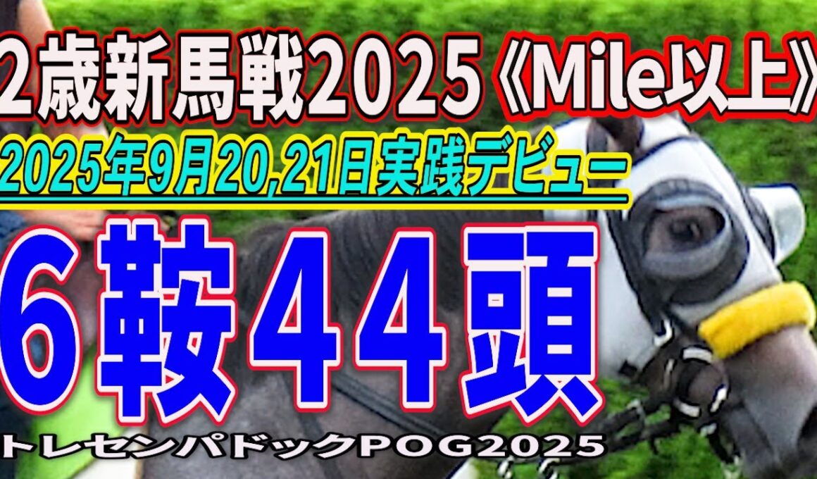 【2歳新馬戦2025】６鞍出走４４頭の若駒の姿を。２０２５年９月２０、２１日《Mile以上》新潟・中京・実戦デビュー！《トレセンパドックPOG2025》あなたの推しを探し出そう！