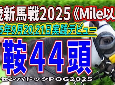 【2歳新馬戦2025】６鞍出走４４頭の若駒の姿を。２０２５年９月２０、２１日《Mile以上》新潟・中京・実戦デビュー！《トレセンパドックPOG2025》あなたの推しを探し出そう！