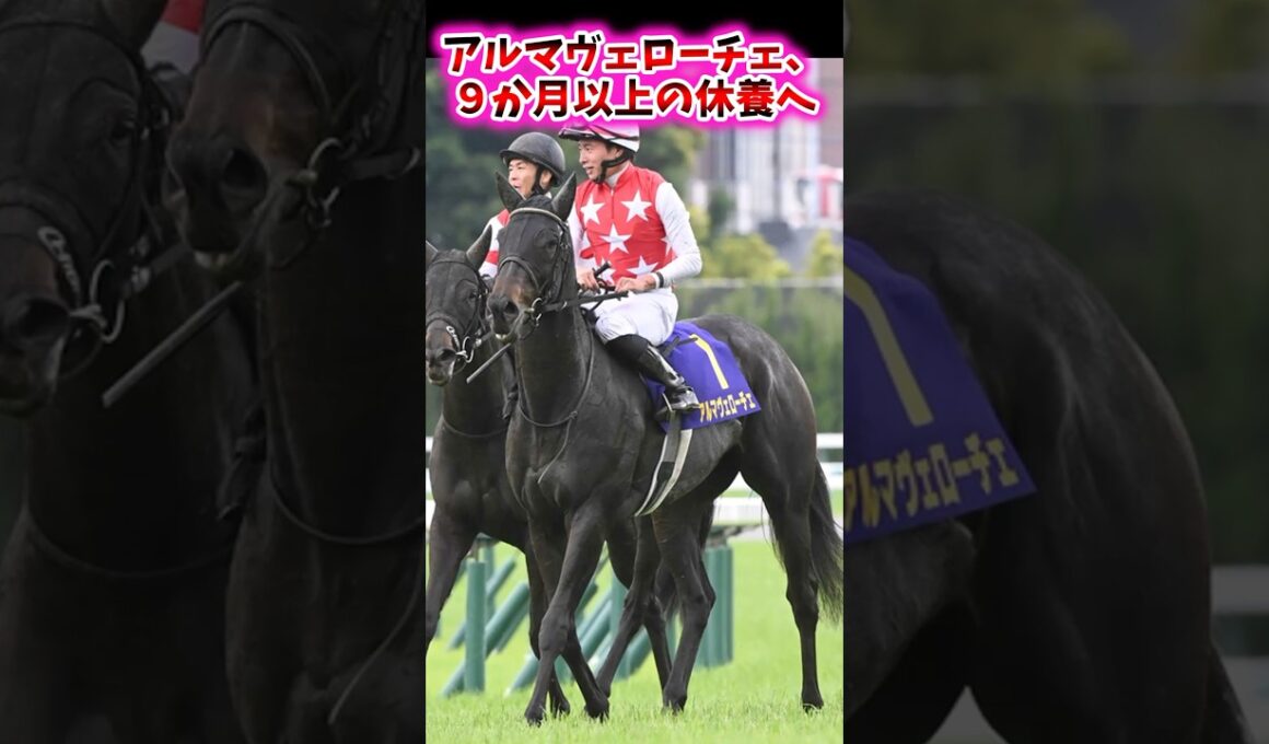 アルマヴェローチェ、9ヶ月以上の休養へ…【競馬反応集】 #アルマヴェローチェ #秋華賞