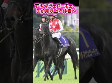 アルマヴェローチェ、9ヶ月以上の休養へ…【競馬反応集】 #アルマヴェローチェ #秋華賞