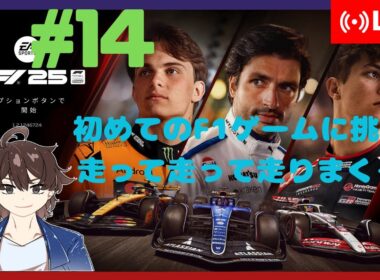 【F1 2025】初めてのF1ゲームで走りまくる！#14
