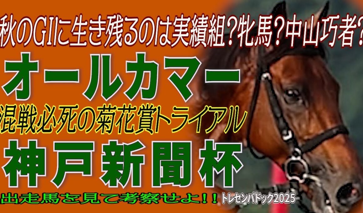 秋のGⅠに生き残るのは実績組？牝馬？中山巧者？《オールカマー》混戦必死の菊花賞トライアル《神戸新聞杯》出走馬を見て勝馬を考察せよ！！【トレセンパドック2025】