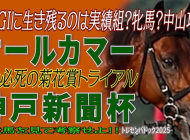 秋のGⅠに生き残るのは実績組？牝馬？中山巧者？《オールカマー》混戦必死の菊花賞トライアル《神戸新聞杯》出走馬を見て勝馬を考察せよ！！【トレセンパドック2025】