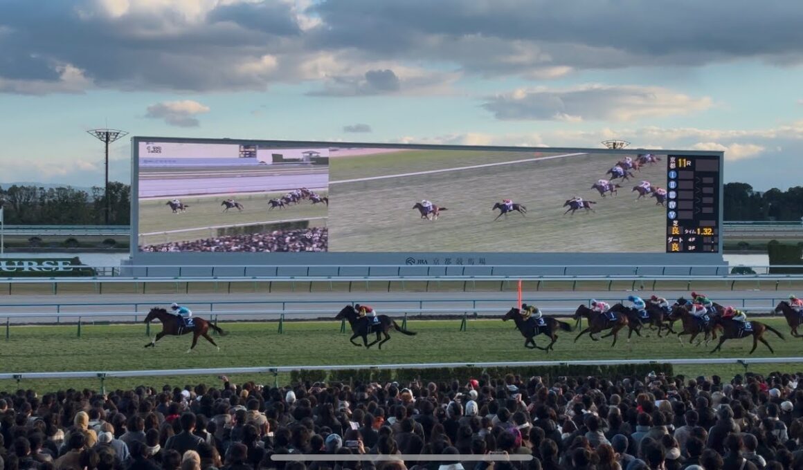 【現地映像】2024年 朝日杯FS アドマイヤズーム 川田将雅 スタート〜ウイニングランまで