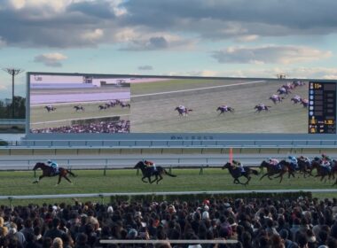 【現地映像】2024年 朝日杯FS アドマイヤズーム 川田将雅 スタート〜ウイニングランまで