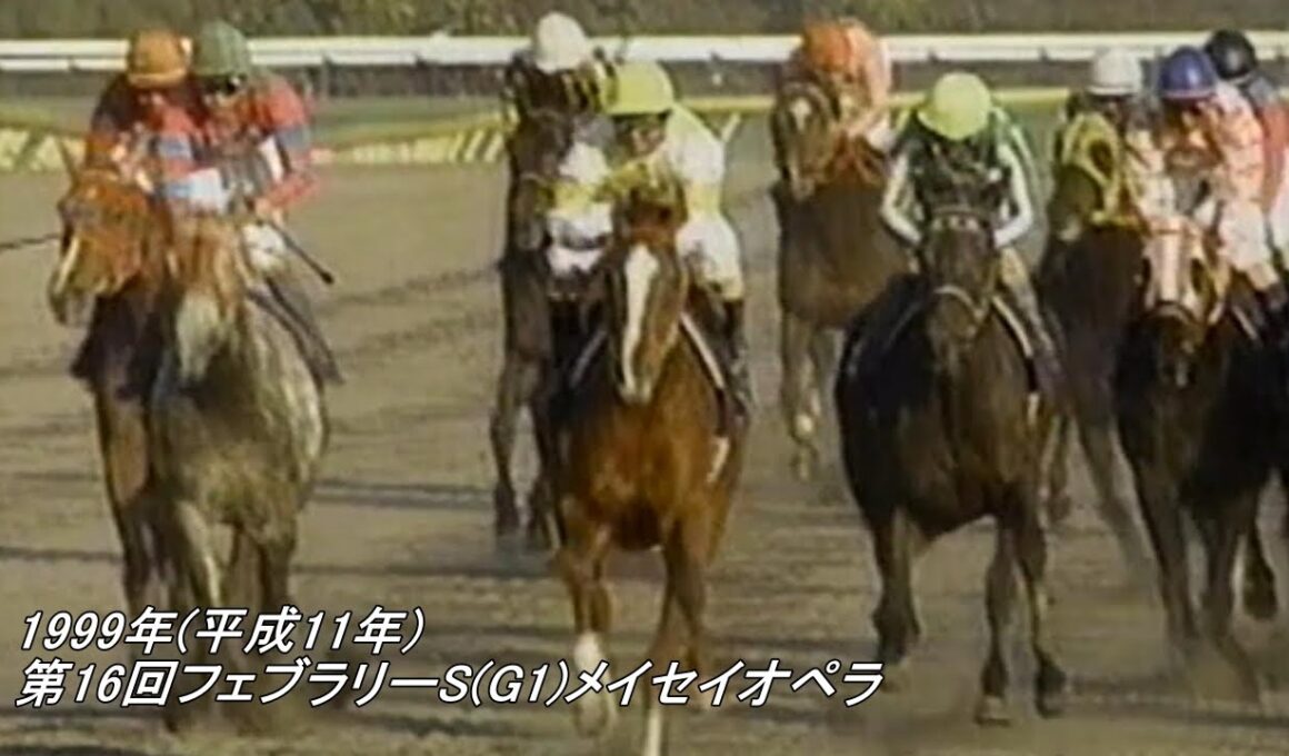 1999年(平成11年)第16回フェブラリーS(G1)メイセイオペラ
