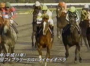 1999年(平成11年)第16回フェブラリーS(G1)メイセイオペラ