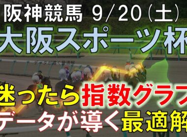 【9/20(土)】阪神11R大阪スポーツ杯攻略法｜指数グラフで勝ち筋を暴く