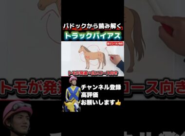 【競馬】パドックでトラックバイアスに合う馬体を見抜くコツ！#競馬 #オールカマー #神戸新聞杯 #スプリンターズステークス