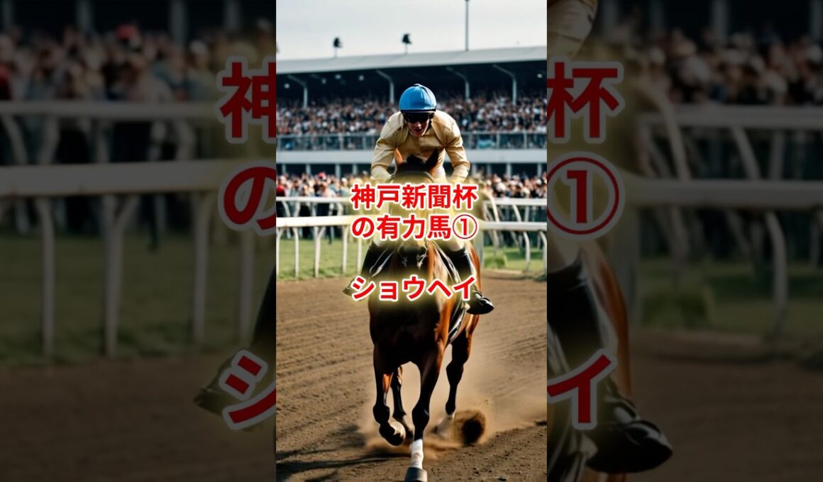 本番、菊花賞へ向けて本格始動！ショウヘイ、秋初戦 #競馬 #競馬雑学 #競馬予想
