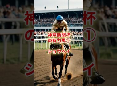 本番、菊花賞へ向けて本格始動！ショウヘイ、秋初戦 #競馬 #競馬雑学 #競馬予想