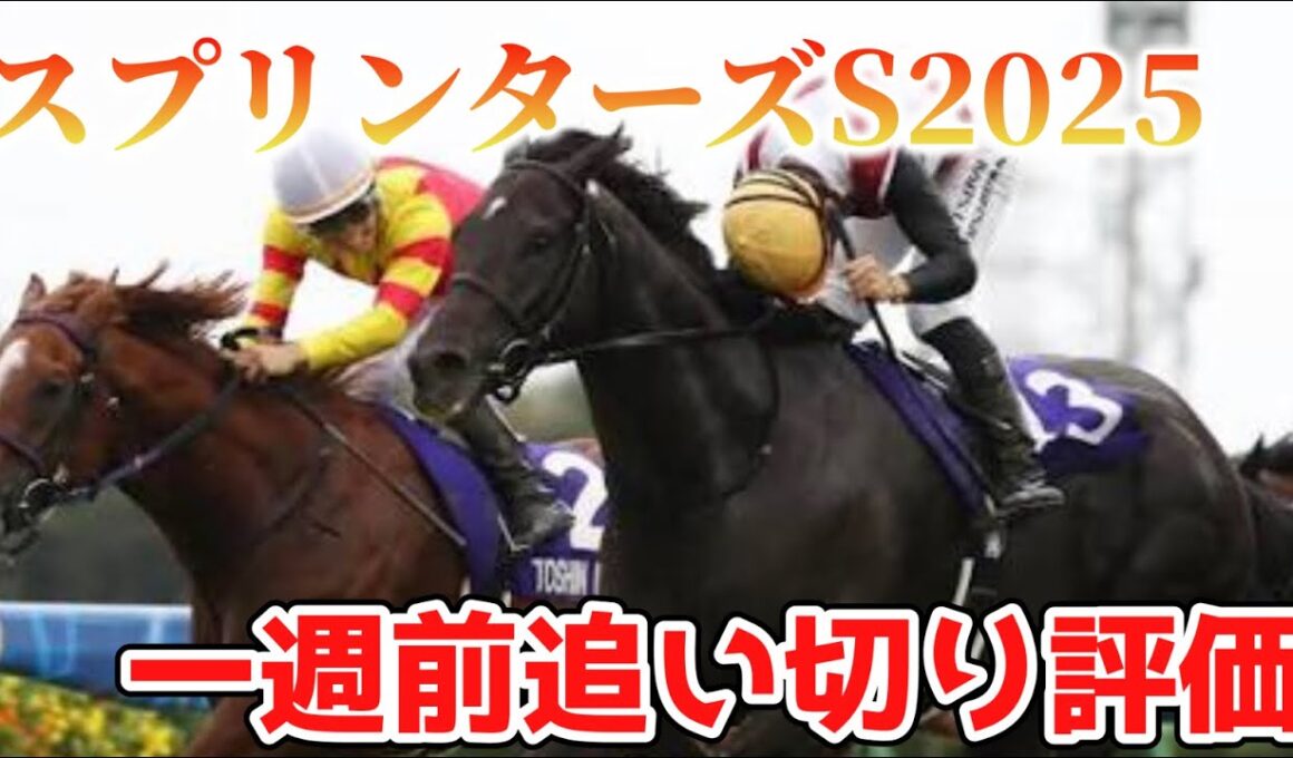 スプリンターズステークス2025 一週前追い切り評価