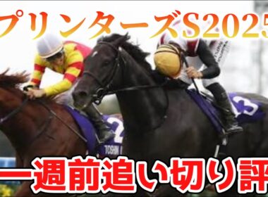 スプリンターズステークス2025 一週前追い切り評価