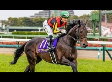 半兄はマイルCS覇者のステルヴィオ カルロットが武豊騎手で初陣Vなるか