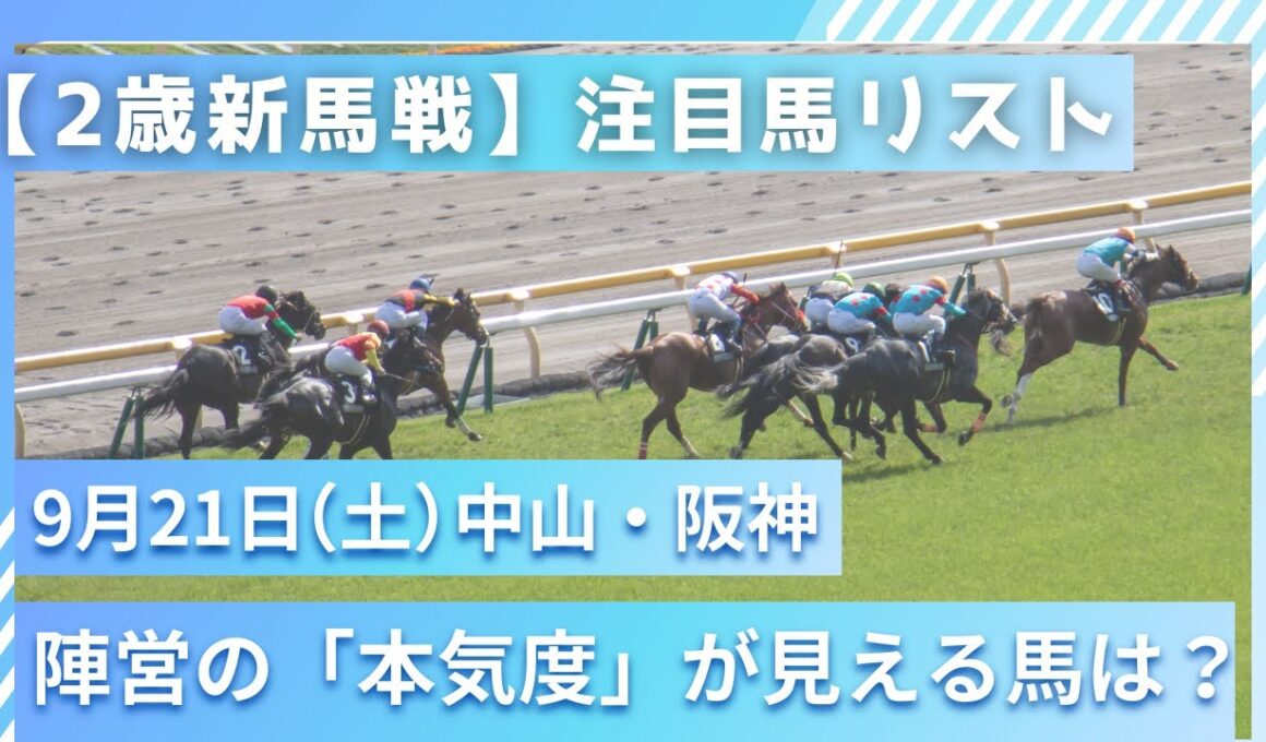 【9月21日(日)新馬戦】中山・阪神でデビューする注目の逸材たちを徹底解説！