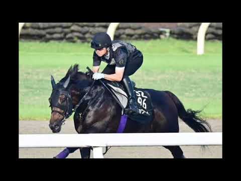 【神戸新聞杯】日本ダービー３着のショウヘイは５枠５番に決定　同５着エリキングは８枠１０番(Tokyo spots)