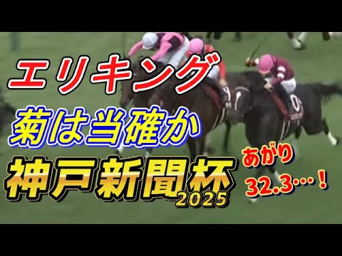 エリキング菊花賞は当確なのか！？　神戸新聞2025　回顧　元馬術選手のコラム
