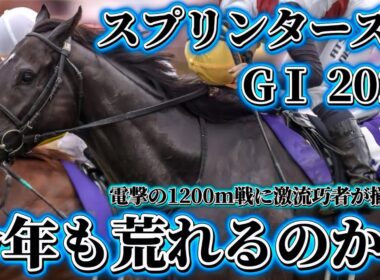 下半期GⅠ開幕【スプリングステークス GⅠ 2025】#スプリンターズステークス #サトノレーヴ #ナムラクレア #ママコチャ #トウシンマカオ #ルガル #ジューンブレア #カピリナ
