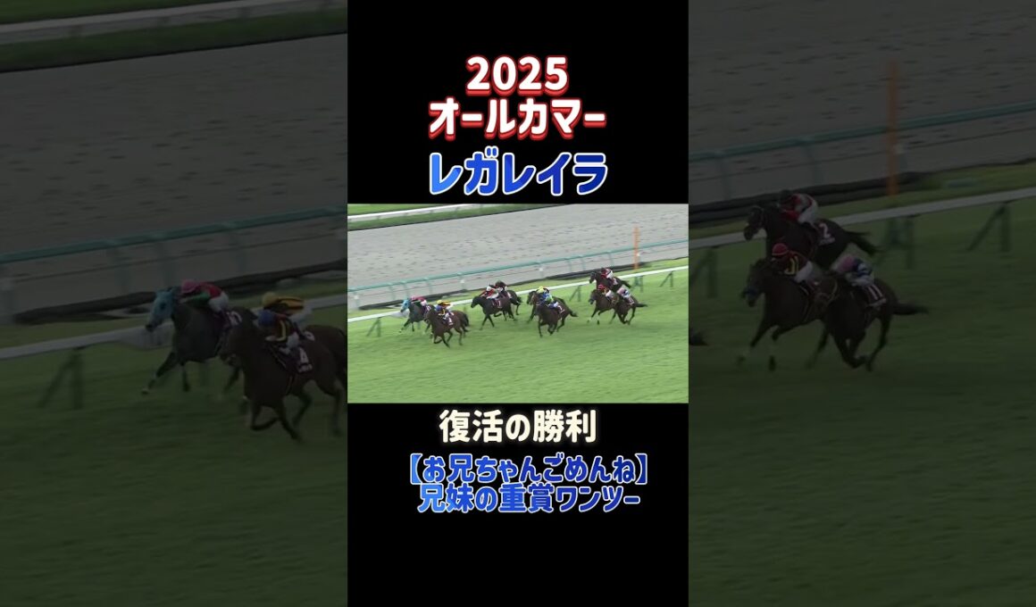 【競馬】レガレイラとドゥラドーレスが兄妹ワンツー！レガレイラは有馬記念以来復活の勝利！オールカマー2025制覇！#オールカマー #レガレイラ #shorts #horseracing #ドゥラドーレス