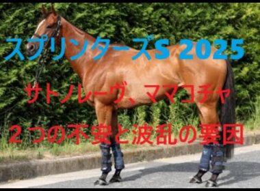 スプリンターズステークス サトノレーヴとママコチャに２つの不安材料 世代交代によって起こる大波乱