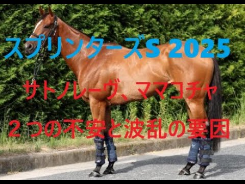 スプリンターズステークス サトノレーヴとママコチャに２つの不安材料 世代交代によって起こる大波乱